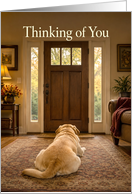 Thinking of You Dog Waiting by Front Door