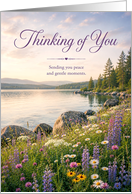 Thinking of You Lakeside Wildflower Shore
