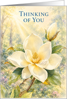 Thinking of You White Magnolia Blossom card