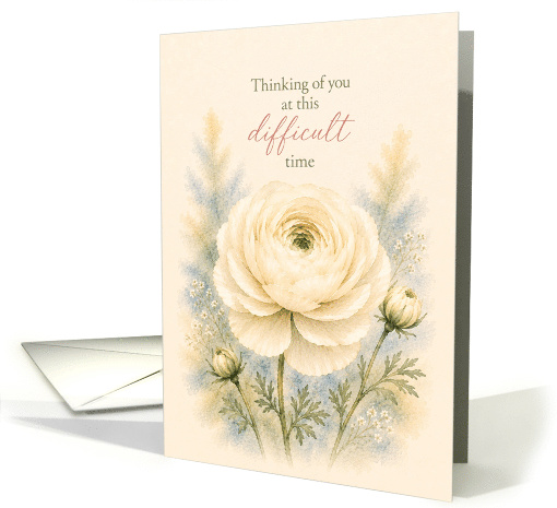 Sympathy White Ranunculus Watercolor Floral card (1994082)