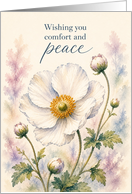 Sympathy White Anemone Watercolor Floral