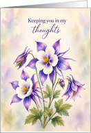 Sympathy Purple Columbine Watercolor Floral