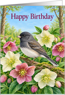 Birthday Dark Eyed Junco Among Hellebores