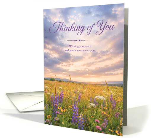 Thinking of You Wildflower Meadow at Sunrise card (1995598)