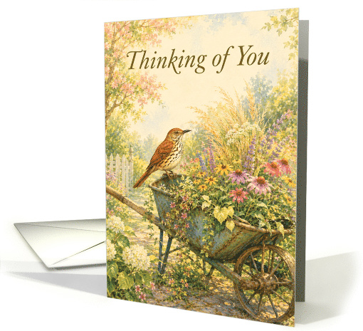 Thinking of You Brown Thrasher on Wheelbarrow card (1995766)