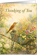 Thinking of You Brown Thrasher on Wheelbarrow