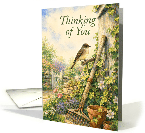 Thinking of You Eastern Phoebe in Cottage Garden card (1996264)