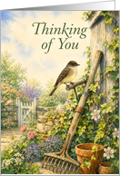 Thinking of You Eastern Phoebe in Cottage Garden