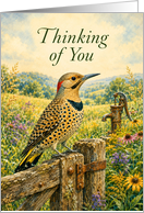Thinking of You Northern Flicker Near Rusty Well Pump card