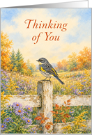 Thinking of You Yellow Rumped Warbler Autumn Garden