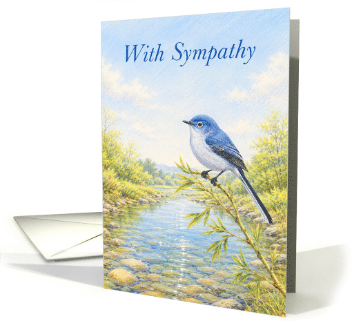 Sympathy Blue Grey Gnatcatcher Beside Clear Woodland Stream card