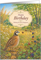 Birthday Bobwhite Quail in Sunny Wildflower Meadow card