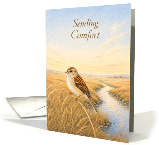 Sympathy Field Sparrow Near a Meadow Stream card (1998652)