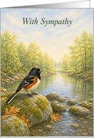 Sympathy Eastern Towhee Peaceful Woodland Stream card