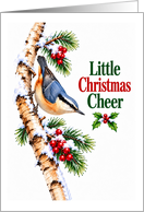 Christmas Cheer Nuthatch on Snowy Birch Branch card