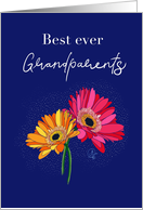 Best ever Grandparents