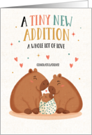 New Baby Cute Capybara Family card