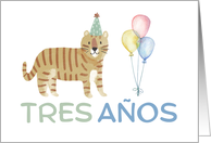 Happy 3rd Birthday Spanish Tiger