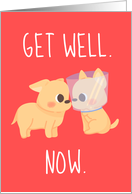 Get Well Now Two Cute Dogs card