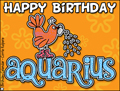 happy birthday, bday, b-day, aquarius, zodiac, birthsign, horoscope,