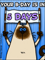 birthday countdown, countdown, 5 days untill birthday, bday, b-day, birthday, friend, kitty