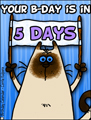 birthday countdown, countdown, 5 days untill birthday, bday, b-day, birthday, friend, kitty