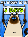 my birthday, 5 days untill my birthday, kitty, reminder,