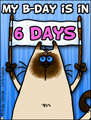 my birthday, 6 days untill my birthday, kitty, reminder,