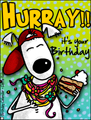 hurray, happy birthday, doggy, cake