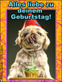 Alles liebe zu deinem Geburtstag, herzlichen glckwnschen,hund,