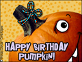 happy birthday, cake. birthday cake,pumpkin,