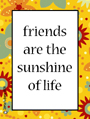 friends sunshine,best friend,mate,girlfriend,boyfriend,bff,affection,friendship,
life,close,pall,buddy,flowers,