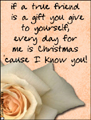 friendship, blessings, friends,bff,best friend,girlfriend,boyfriend,mate,pall,buddy,flowers,comrade,chum,companion,
fellowship,true friend,rose,christmas,gift,