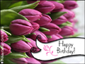happy birthday,tulips,flowers,bouquet,congratulations,bday,
