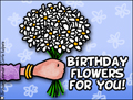 birthday flowers, bouquet, from her, happy birthday, flowers,