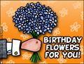 birthday flowers, bouquet, from him, happy birthday, flowers,