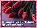 blumige geburtstagsgrsse, tulpe, herzlichen glckwnschen,