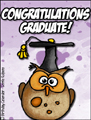 graduation, graduate, owl,valedictorian,school,congratulations, cap, gown, diploma,