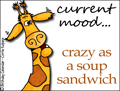 current mood, mood, crazy as a soup sandwich