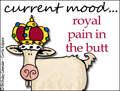 current mood, mood, royal pain in the butt