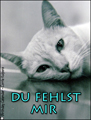 du fehlst mir,ohne dich,einsam,katze,ich vermiss dich,