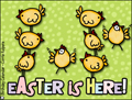 easter countdown, happy easter, peeps, chicks, spring,