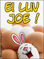 ei luv joe, i love you, ei, paashaas, pasen, vrolijk pasen, lente