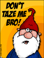 taze,bro,gnomie,homie,buddy,mate,pal,comrade,homeboy,tazer,sorry,apology,oh shit,screw up,fuck up,error,