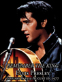 the king, elvis, elvis presley,pop culture,