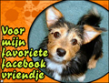 favortie vriendje,facebook,vriendschap,hondje,beste vriend,vriendin,maatje,