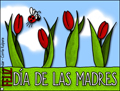 feliz Da de la Madre, tulipanes