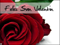 te amo, te quiero, corazn, amor, feliz san valentin, dia de san valentine, rosa, romntico