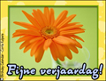 fijne verjaardag, gerbera, hartelijk gefeliciteerd,verjaardag,jarig,bloem,van harte,