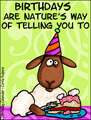 happy birthday, birthday wishes, animated, sheep, cake, eat, funny,humorous,
